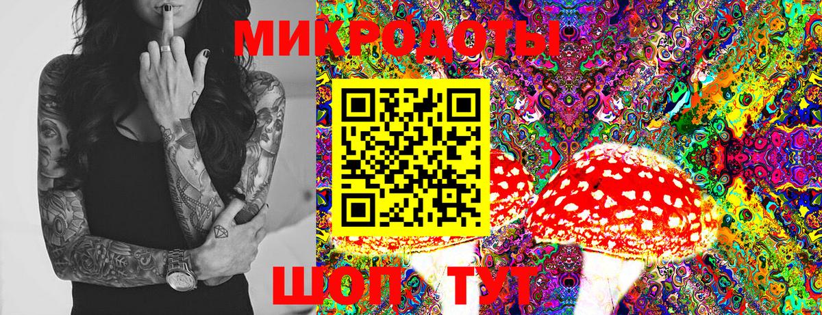 Псилоцибиновые грибы Psilocybine cubensis Бор